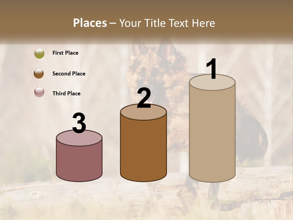 A Dog Jumping Over A Log In The Woods PowerPoint Template