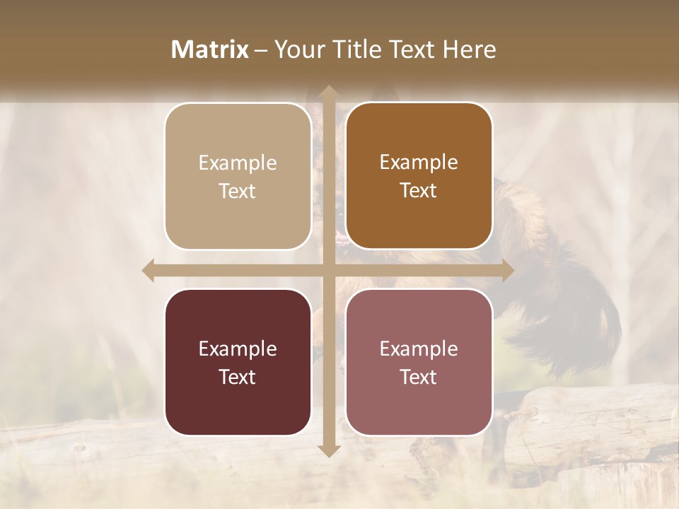 A Dog Jumping Over A Log In The Woods PowerPoint Template