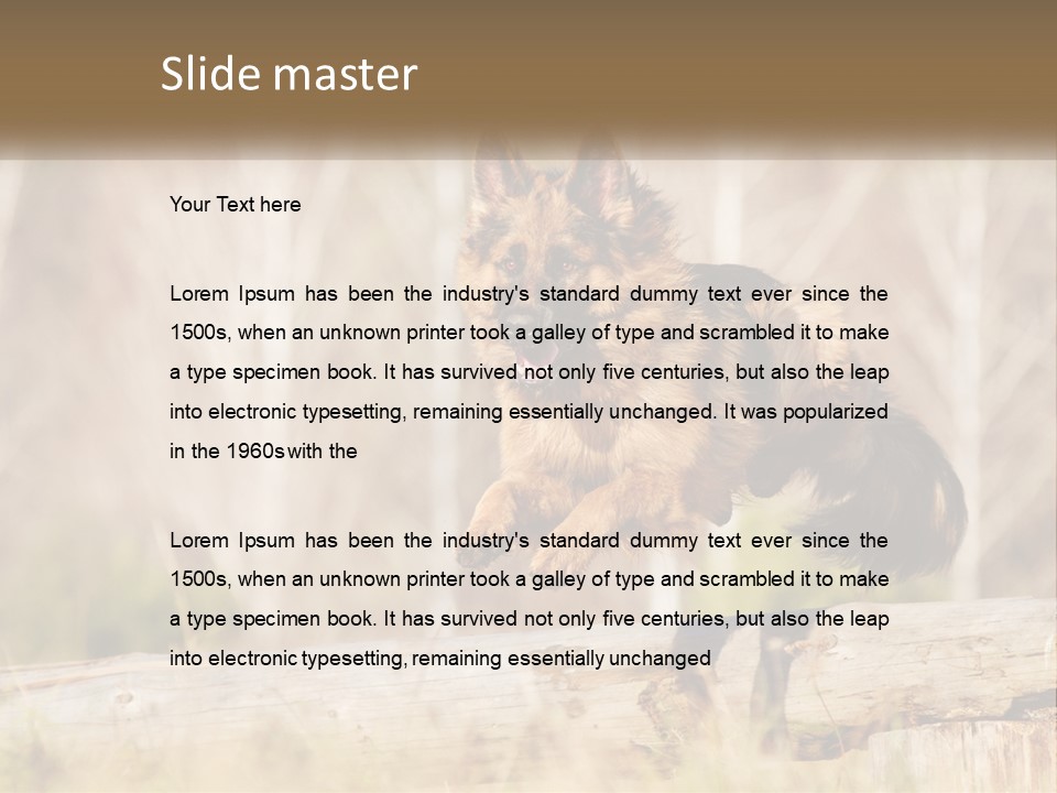 A Dog Jumping Over A Log In The Woods PowerPoint Template