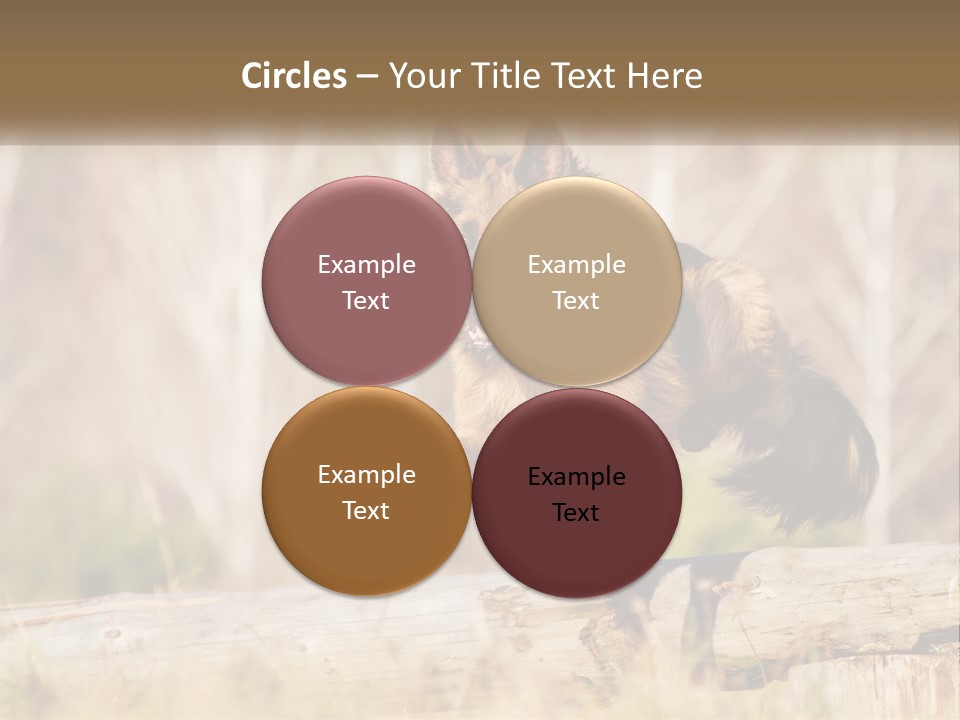 A Dog Jumping Over A Log In The Woods PowerPoint Template