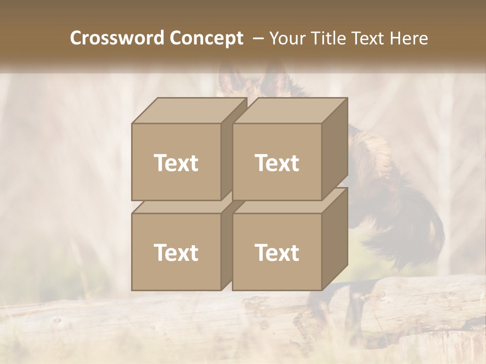 A Dog Jumping Over A Log In The Woods PowerPoint Template