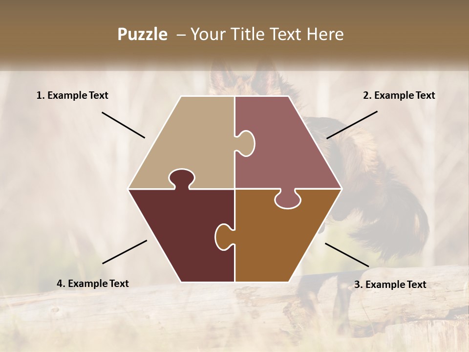 A Dog Jumping Over A Log In The Woods PowerPoint Template