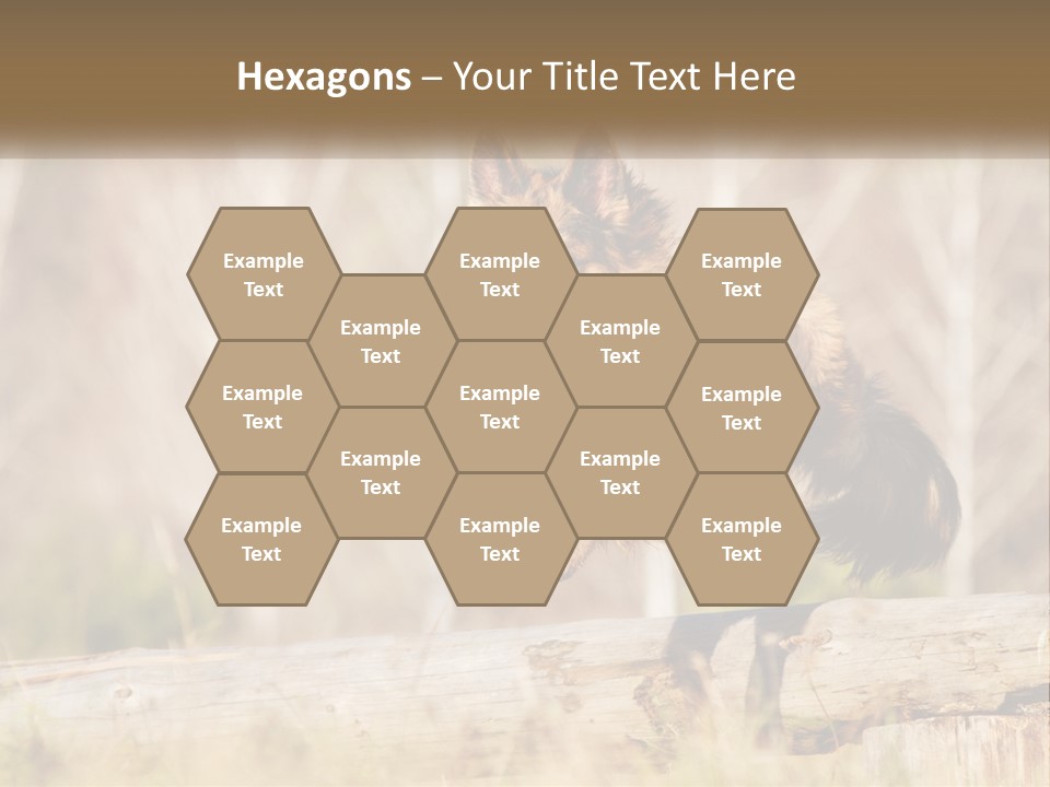 A Dog Jumping Over A Log In The Woods PowerPoint Template