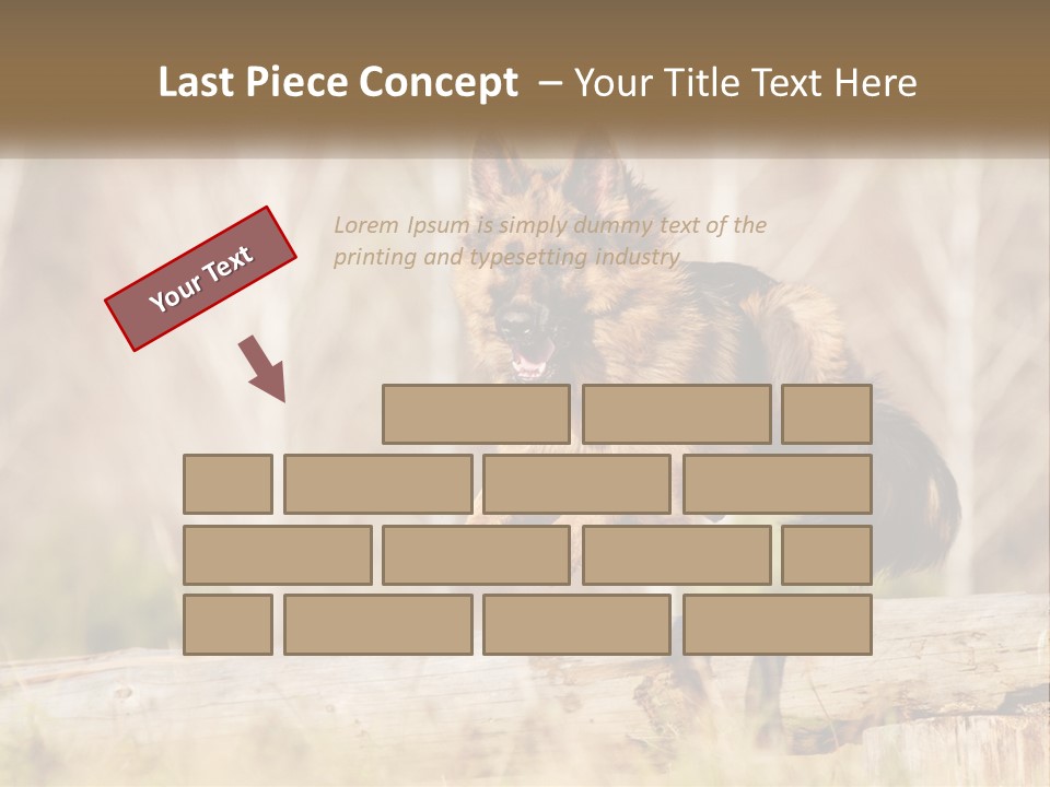 A Dog Jumping Over A Log In The Woods PowerPoint Template