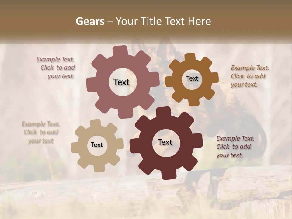 A Dog Jumping Over A Log In The Woods PowerPoint Template