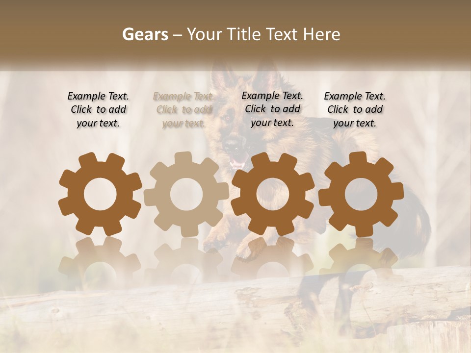 A Dog Jumping Over A Log In The Woods PowerPoint Template