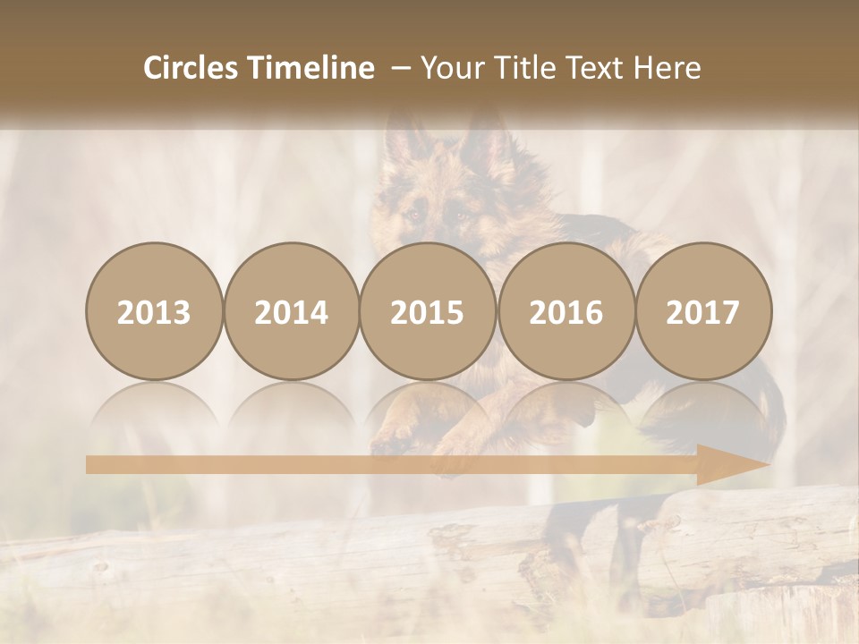 A Dog Jumping Over A Log In The Woods PowerPoint Template