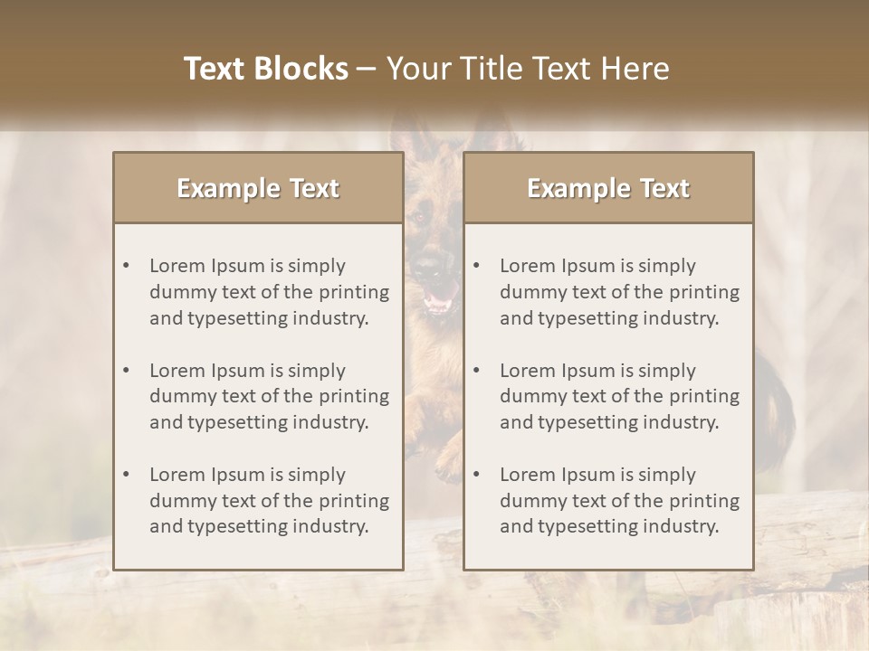 A Dog Jumping Over A Log In The Woods PowerPoint Template