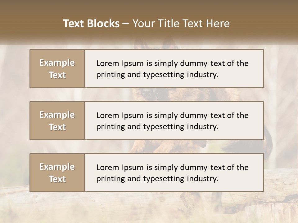 A Dog Jumping Over A Log In The Woods PowerPoint Template