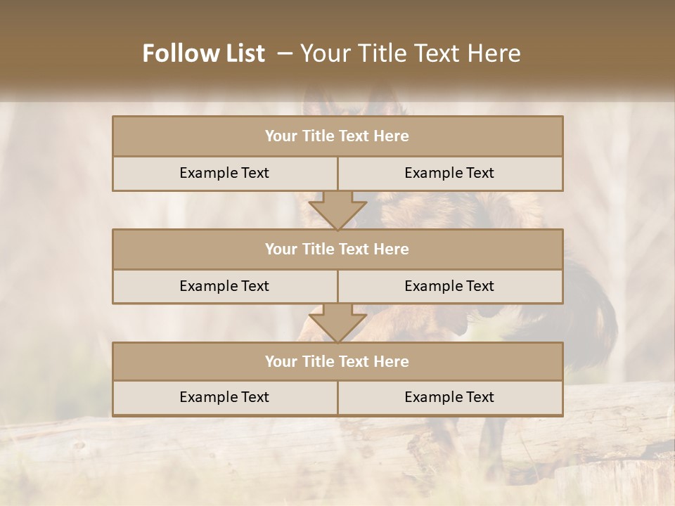 A Dog Jumping Over A Log In The Woods PowerPoint Template