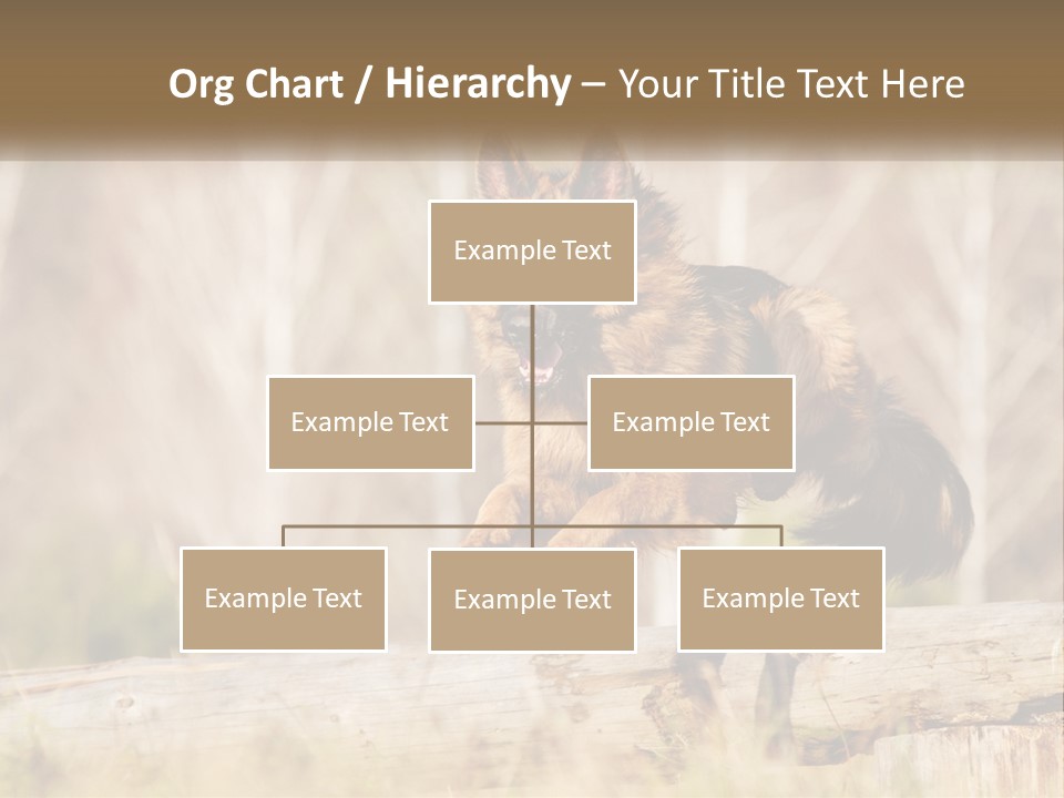 A Dog Jumping Over A Log In The Woods PowerPoint Template