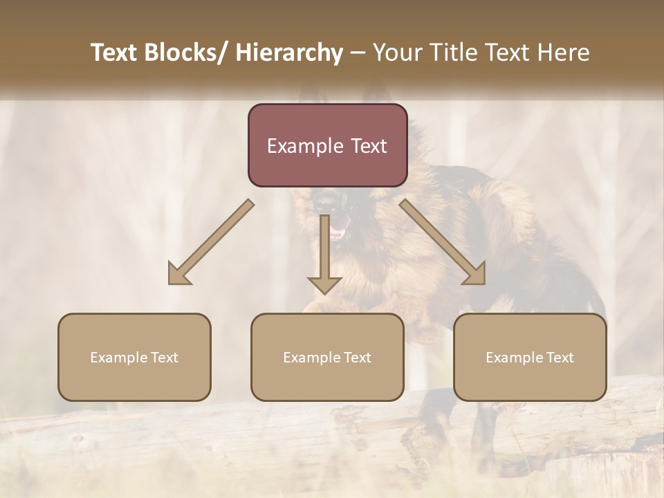 A Dog Jumping Over A Log In The Woods PowerPoint Template