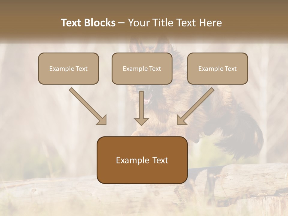A Dog Jumping Over A Log In The Woods PowerPoint Template