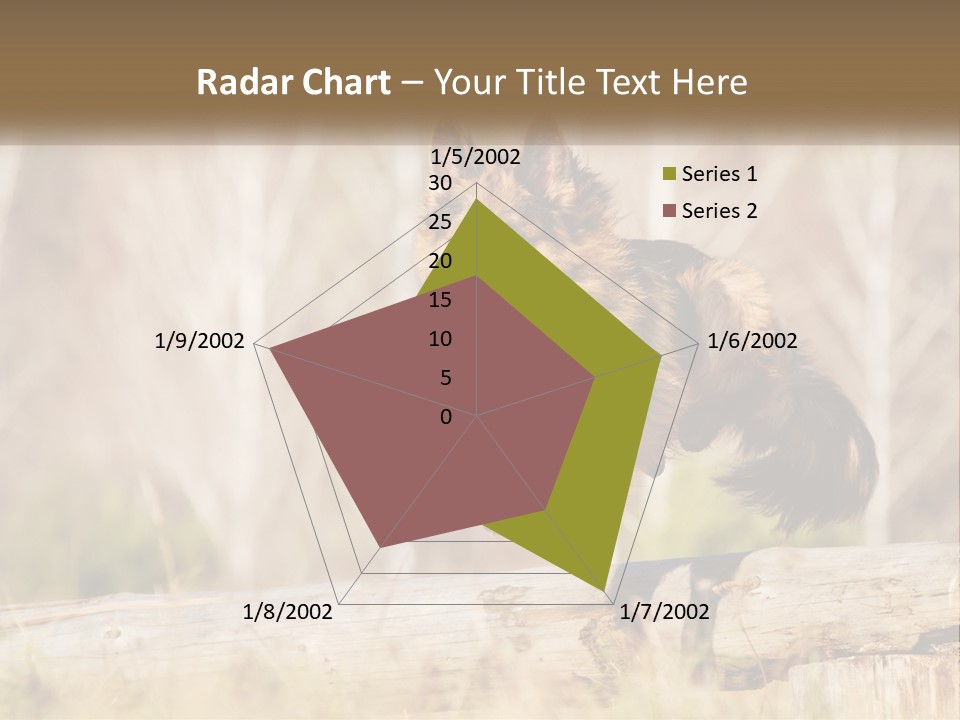 A Dog Jumping Over A Log In The Woods PowerPoint Template