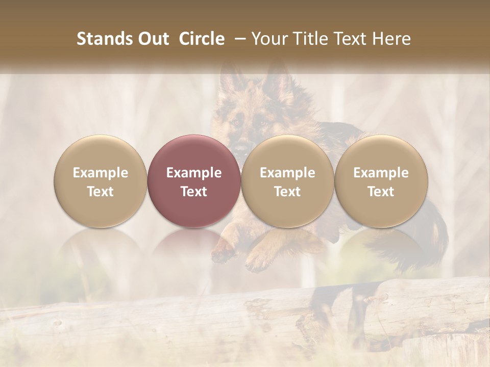 A Dog Jumping Over A Log In The Woods PowerPoint Template