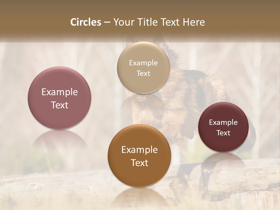 A Dog Jumping Over A Log In The Woods PowerPoint Template