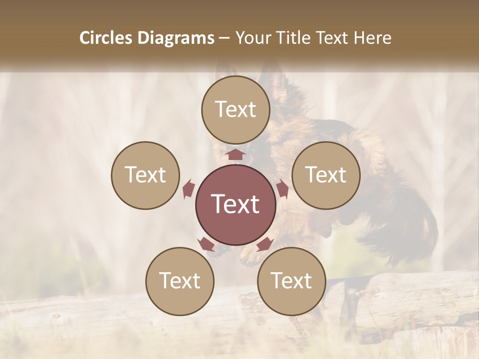 A Dog Jumping Over A Log In The Woods PowerPoint Template