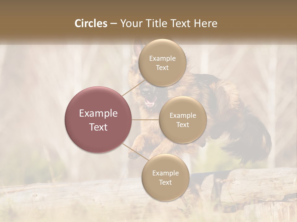 A Dog Jumping Over A Log In The Woods PowerPoint Template