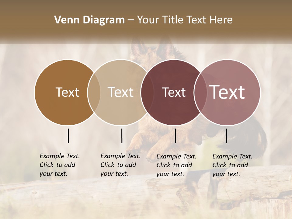 A Dog Jumping Over A Log In The Woods PowerPoint Template