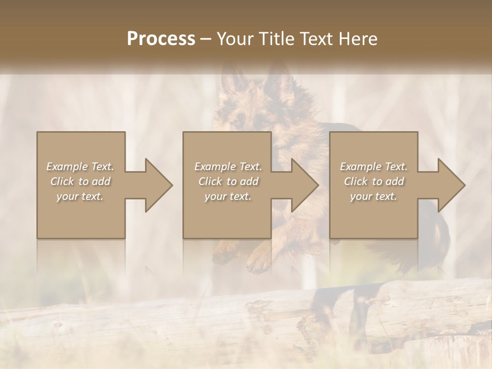 A Dog Jumping Over A Log In The Woods PowerPoint Template