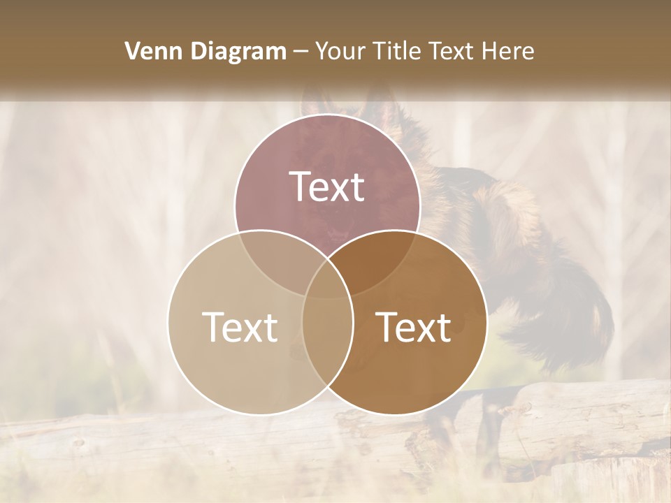 A Dog Jumping Over A Log In The Woods PowerPoint Template