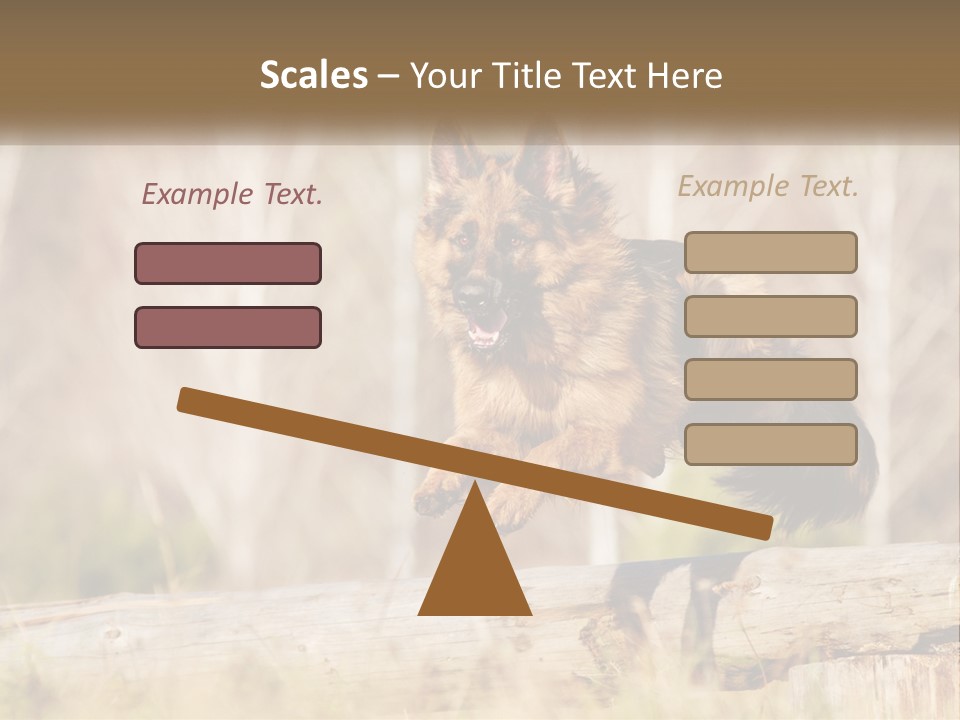 A Dog Jumping Over A Log In The Woods PowerPoint Template