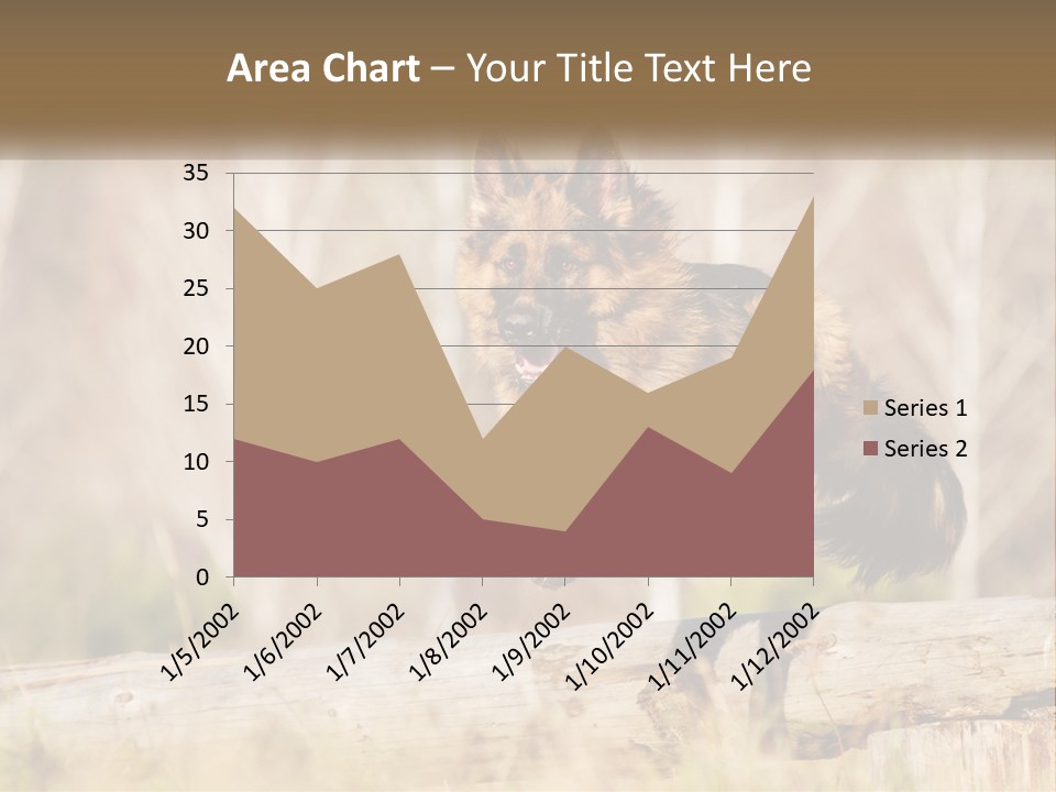 A Dog Jumping Over A Log In The Woods PowerPoint Template
