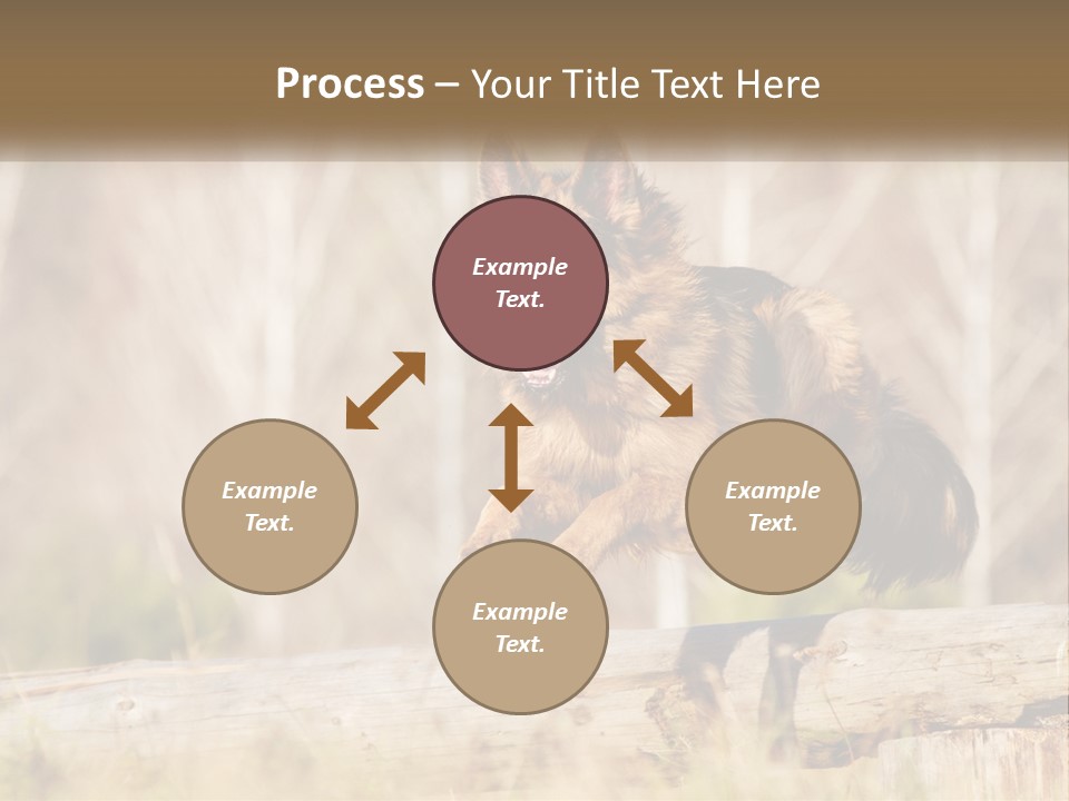 A Dog Jumping Over A Log In The Woods PowerPoint Template