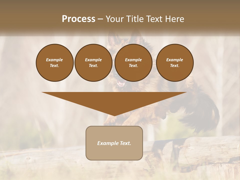 A Dog Jumping Over A Log In The Woods PowerPoint Template