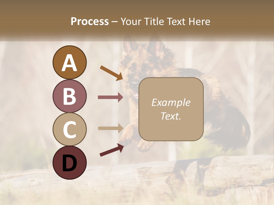 A Dog Jumping Over A Log In The Woods PowerPoint Template