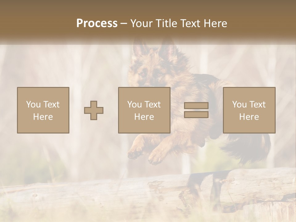 A Dog Jumping Over A Log In The Woods PowerPoint Template