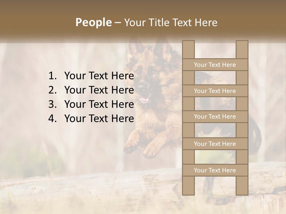 A Dog Jumping Over A Log In The Woods PowerPoint Template