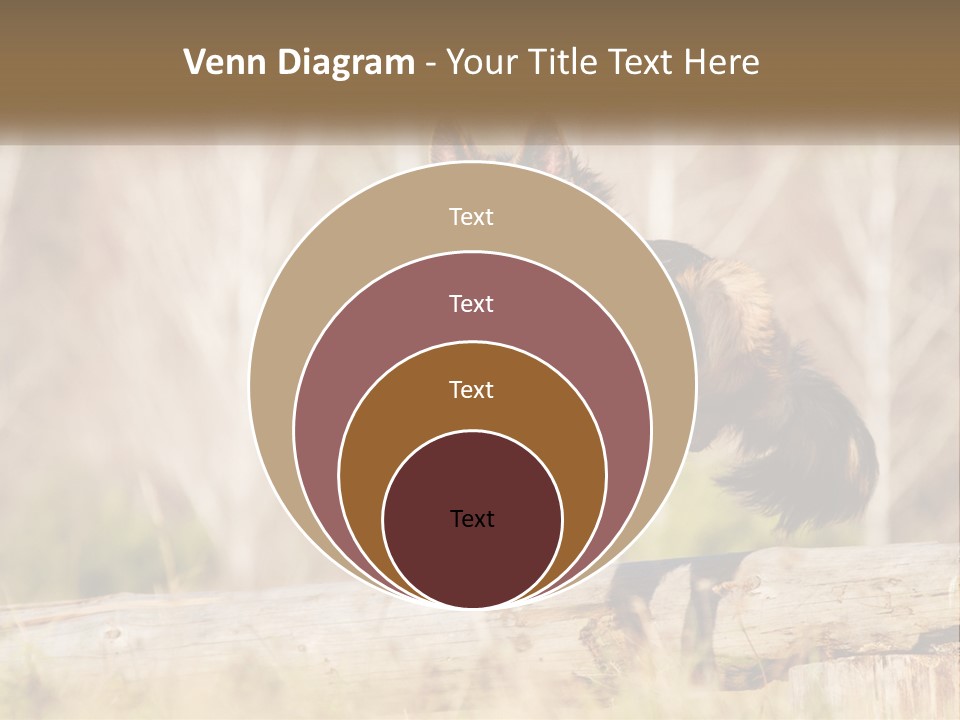 A Dog Jumping Over A Log In The Woods PowerPoint Template