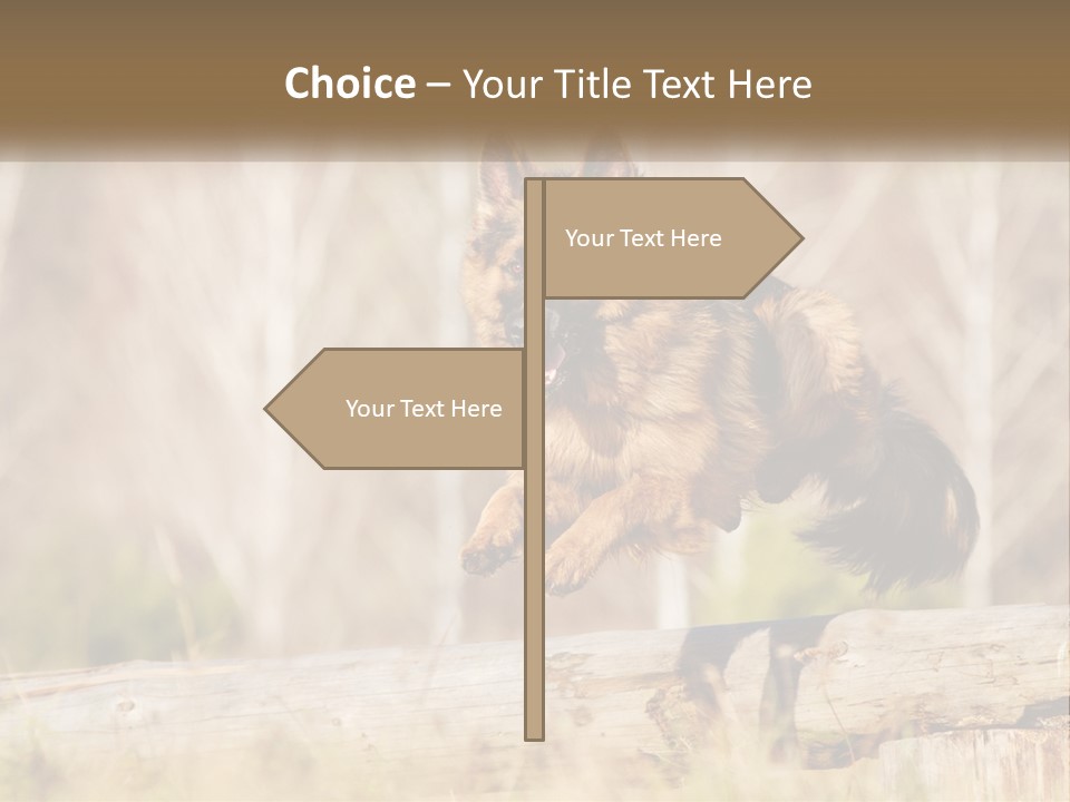A Dog Jumping Over A Log In The Woods PowerPoint Template