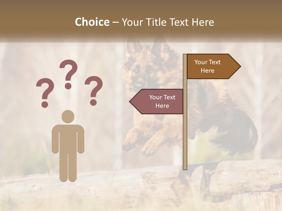 A Dog Jumping Over A Log In The Woods PowerPoint Template