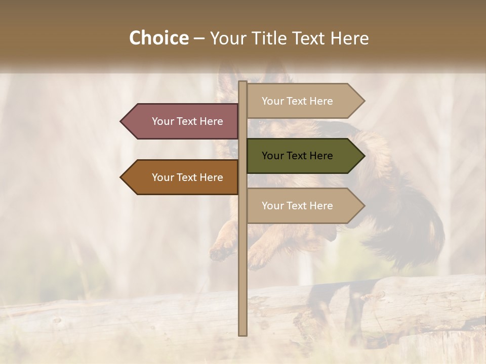 A Dog Jumping Over A Log In The Woods PowerPoint Template