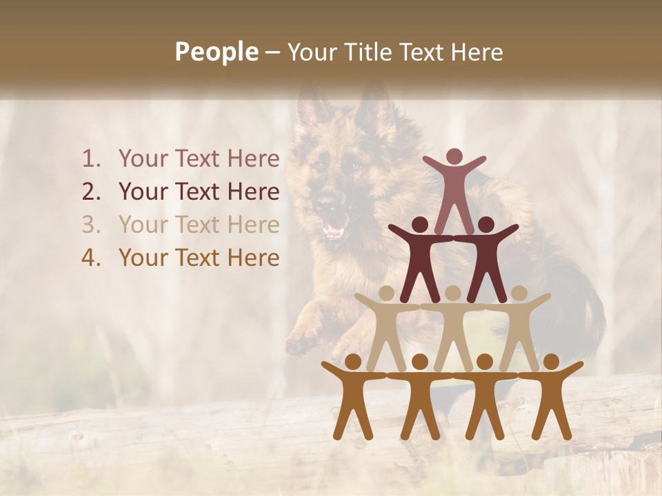 A Dog Jumping Over A Log In The Woods PowerPoint Template