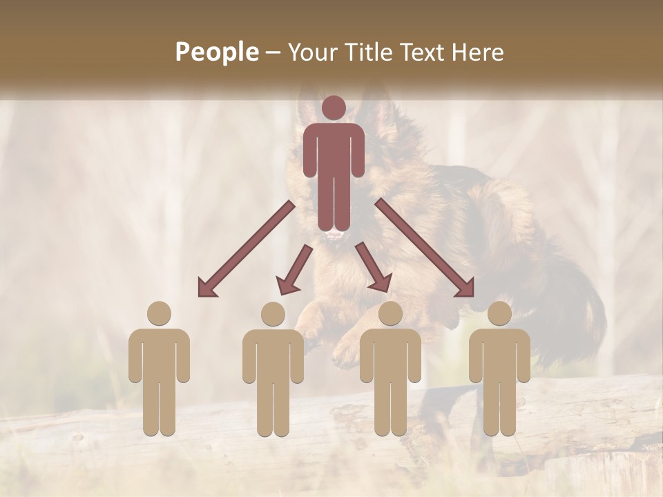 A Dog Jumping Over A Log In The Woods PowerPoint Template