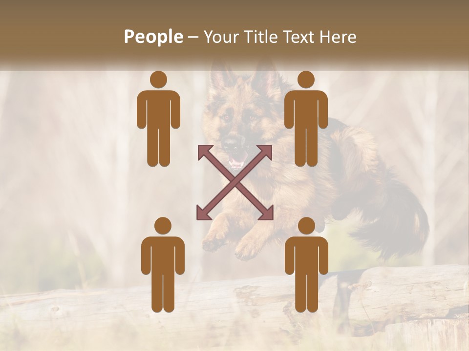 A Dog Jumping Over A Log In The Woods PowerPoint Template