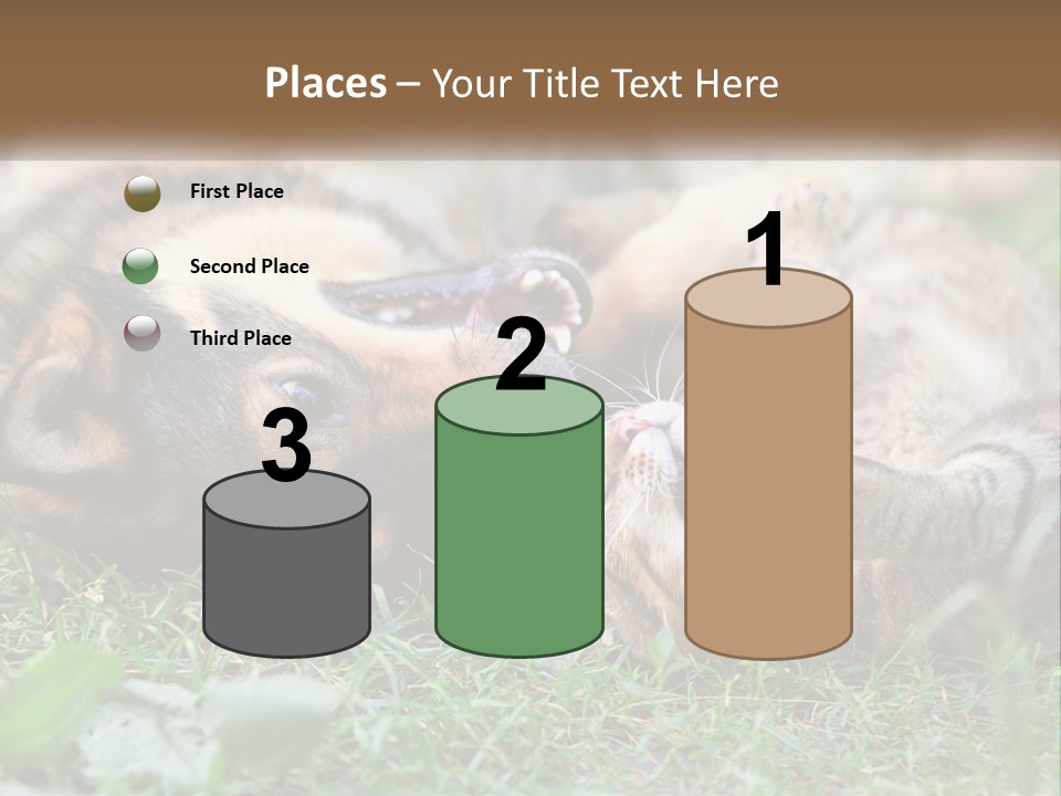 A Dog And A Cat Playing Together In The Grass PowerPoint Template