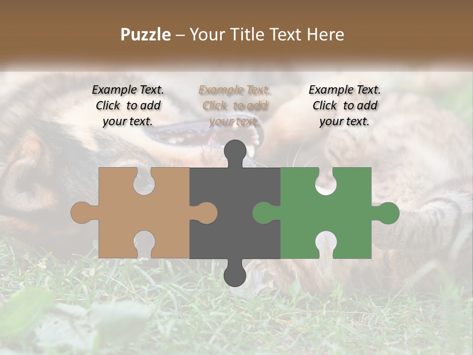 A Dog And A Cat Playing Together In The Grass PowerPoint Template