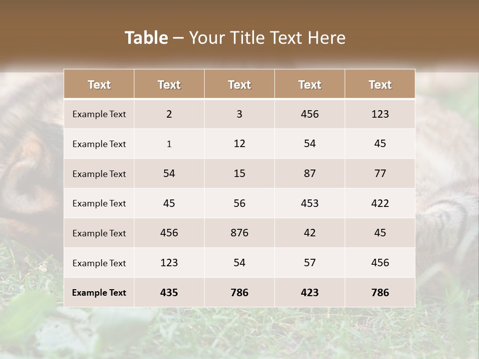 A Dog And A Cat Playing Together In The Grass PowerPoint Template