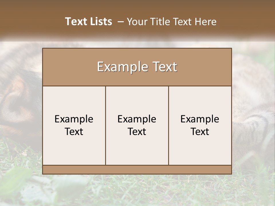 A Dog And A Cat Playing Together In The Grass PowerPoint Template