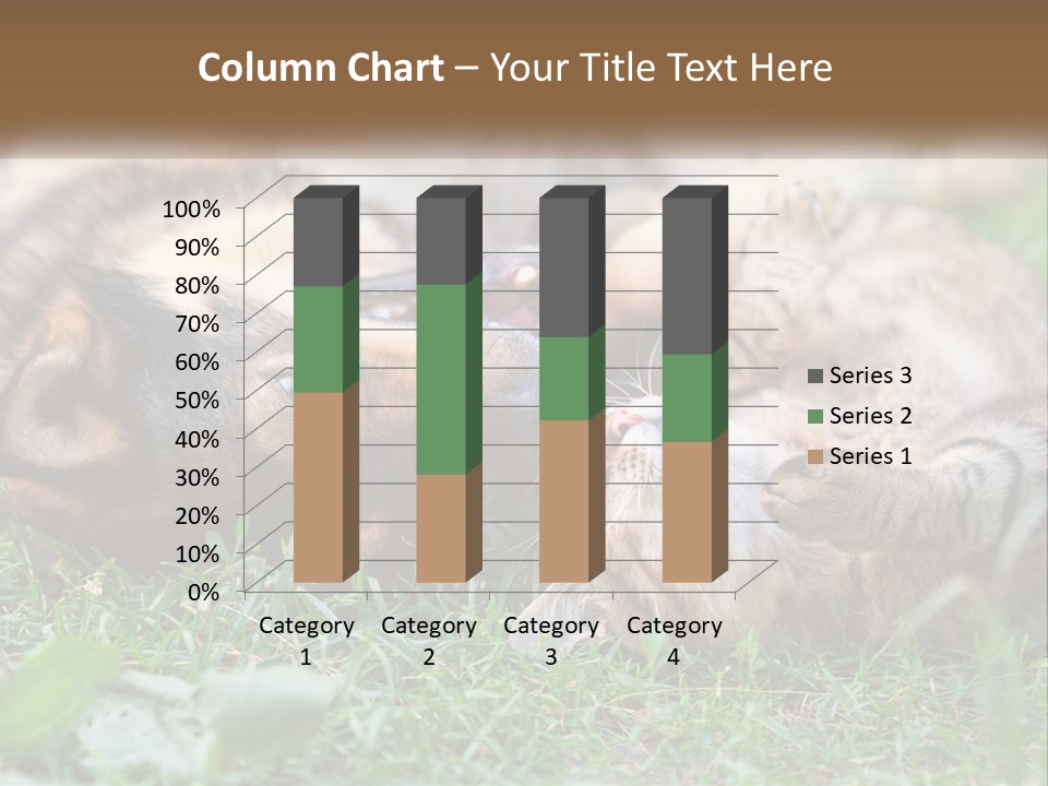 A Dog And A Cat Playing Together In The Grass PowerPoint Template