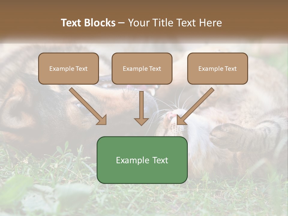 A Dog And A Cat Playing Together In The Grass PowerPoint Template