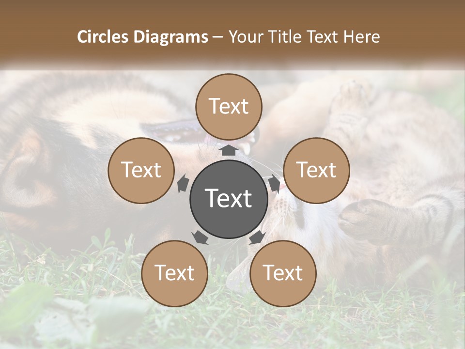 A Dog And A Cat Playing Together In The Grass PowerPoint Template