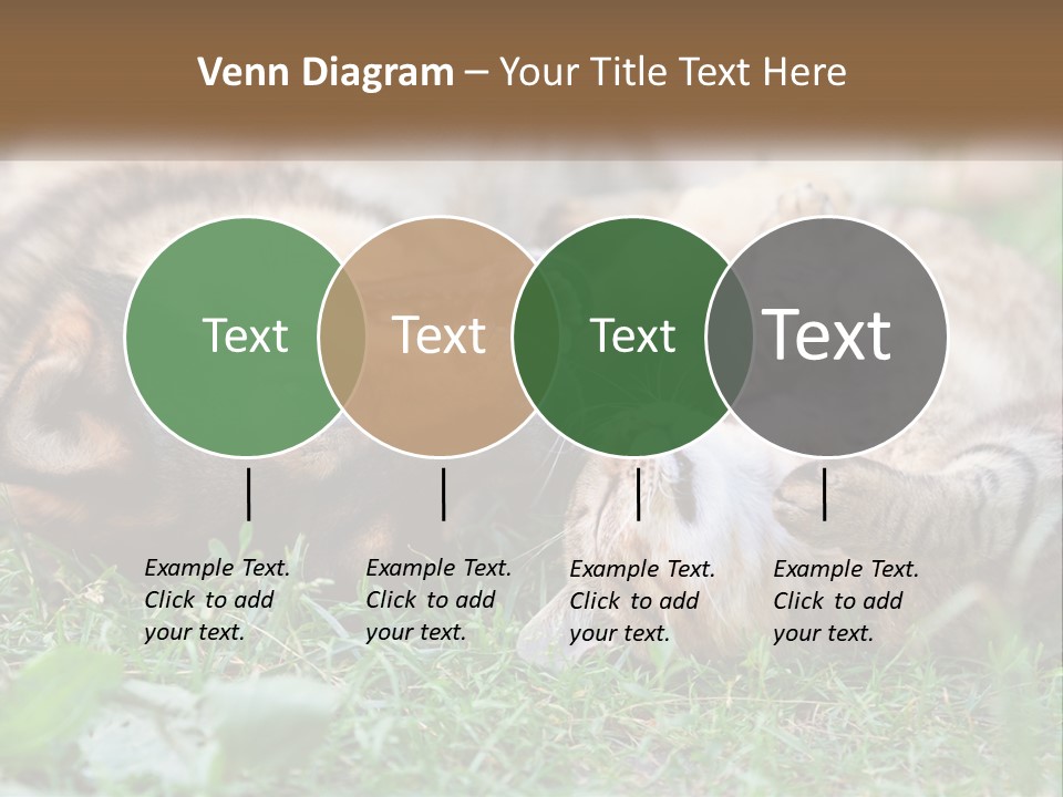 A Dog And A Cat Playing Together In The Grass PowerPoint Template