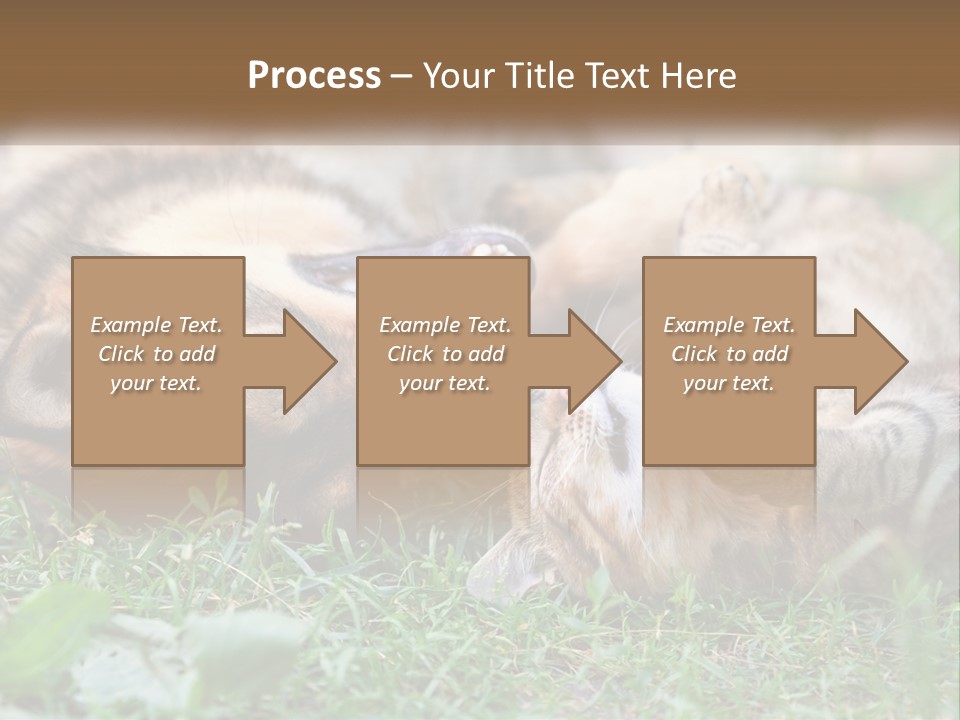 A Dog And A Cat Playing Together In The Grass PowerPoint Template