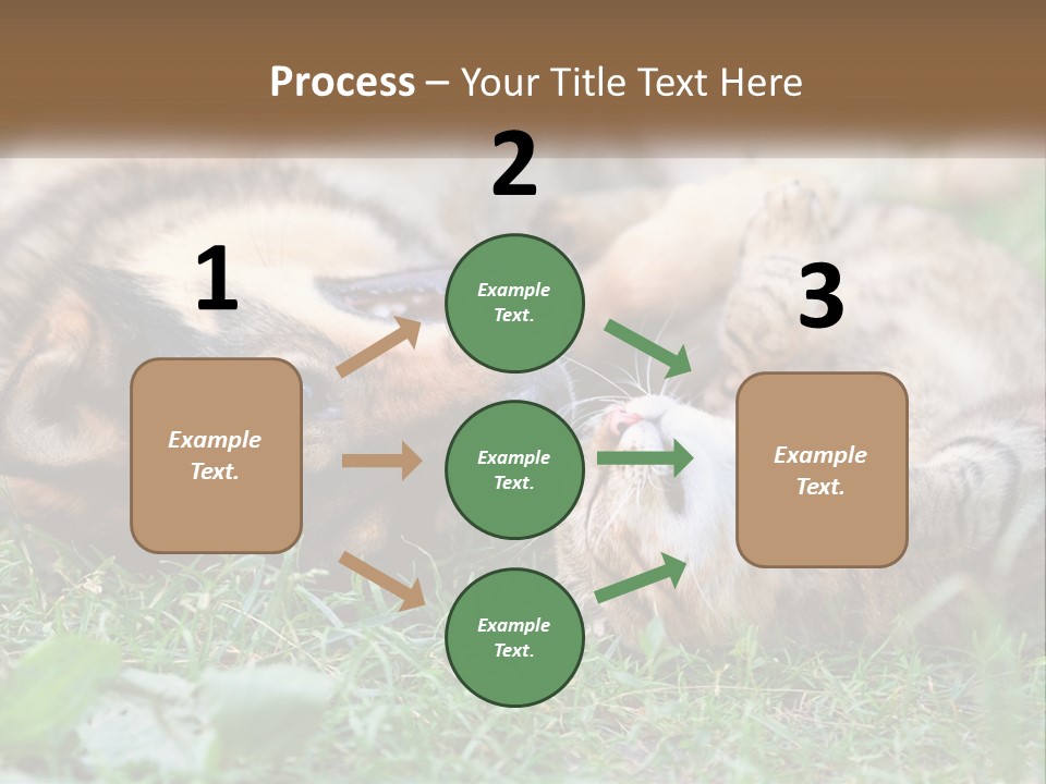 A Dog And A Cat Playing Together In The Grass PowerPoint Template