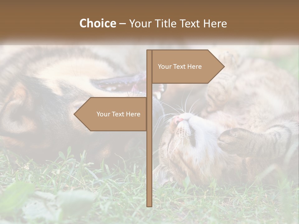 A Dog And A Cat Playing Together In The Grass PowerPoint Template
